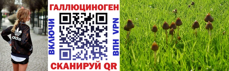 наркошоп  Алагир  Псилоцибиновые грибы GOLDEN TEACHER 